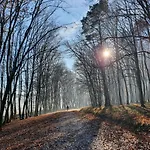 Glamping Na Brejgi *