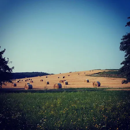 Glamping Na Brejgi Οργανωμένο κάμπινγκ