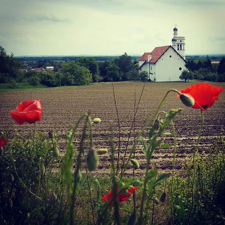 Οργανωμένο κάμπινγκ Glamping Na Brejgi Filovci