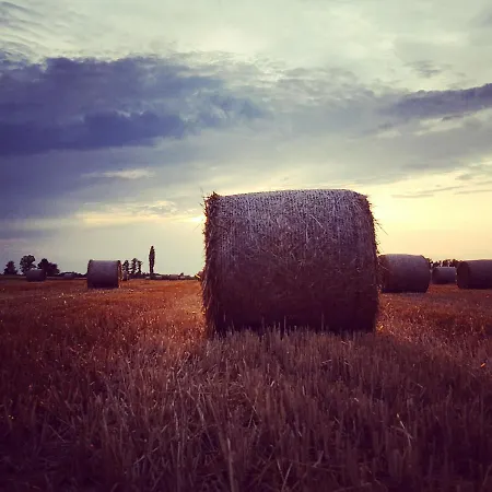 Οργανωμένο κάμπινγκ Glamping Na Brejgi