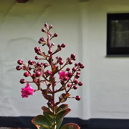 Glamping Na Brejgi Campismo de Luxo