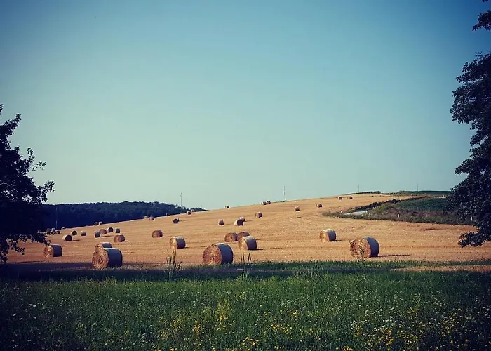 Glamping Na Brejgi Luksuzni šator