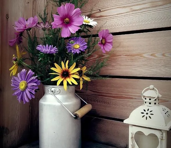 Campismo de Luxo Glamping Na Brejgi Filovci