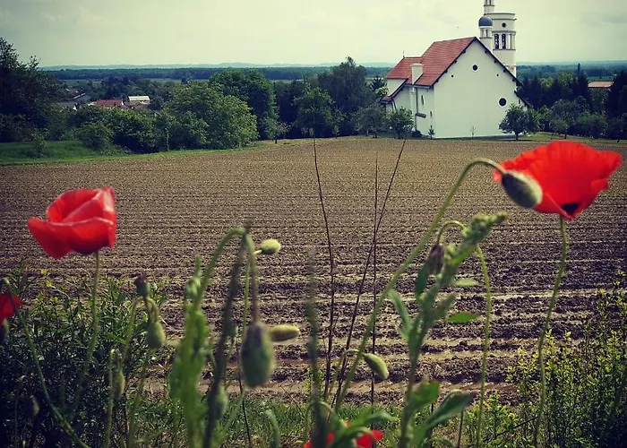 Luksuzni šator Glamping Na Brejgi Filovci