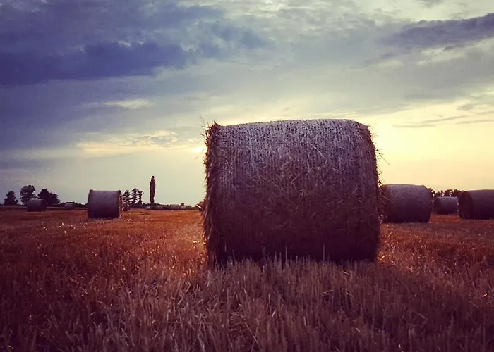 Campismo de Luxo Glamping Na Brejgi