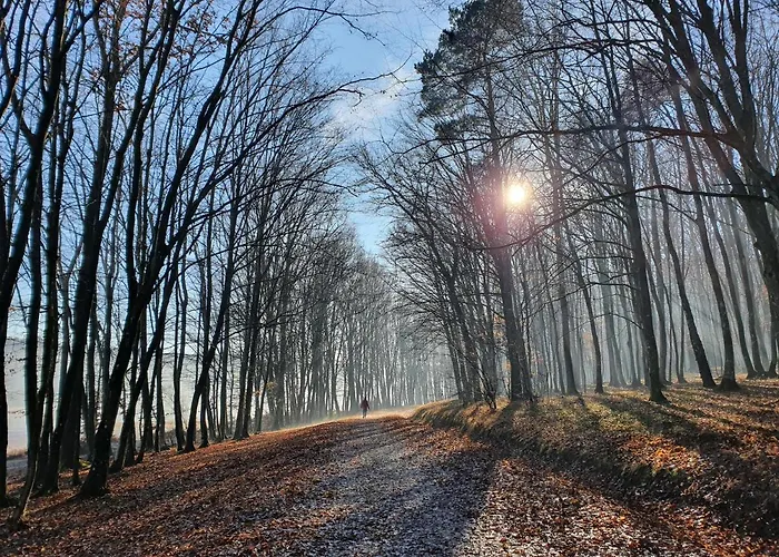 Glamping Na Brejgi *