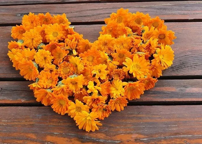 Luksuzni šator Glamping Na Brejgi