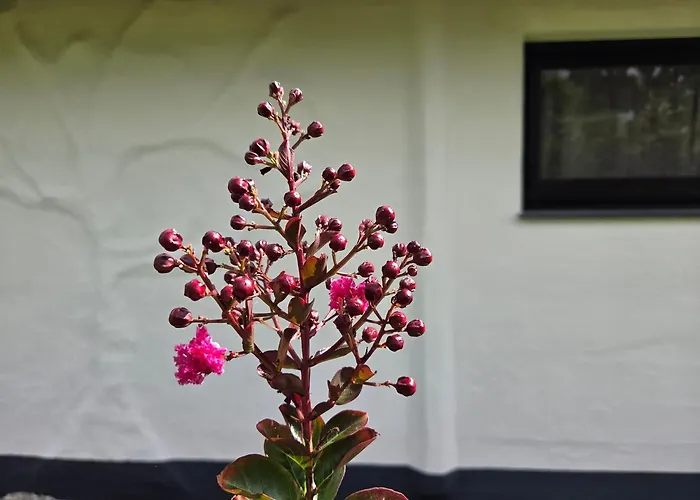 Glamping Na Brejgi Tente de luxe